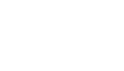 8 1